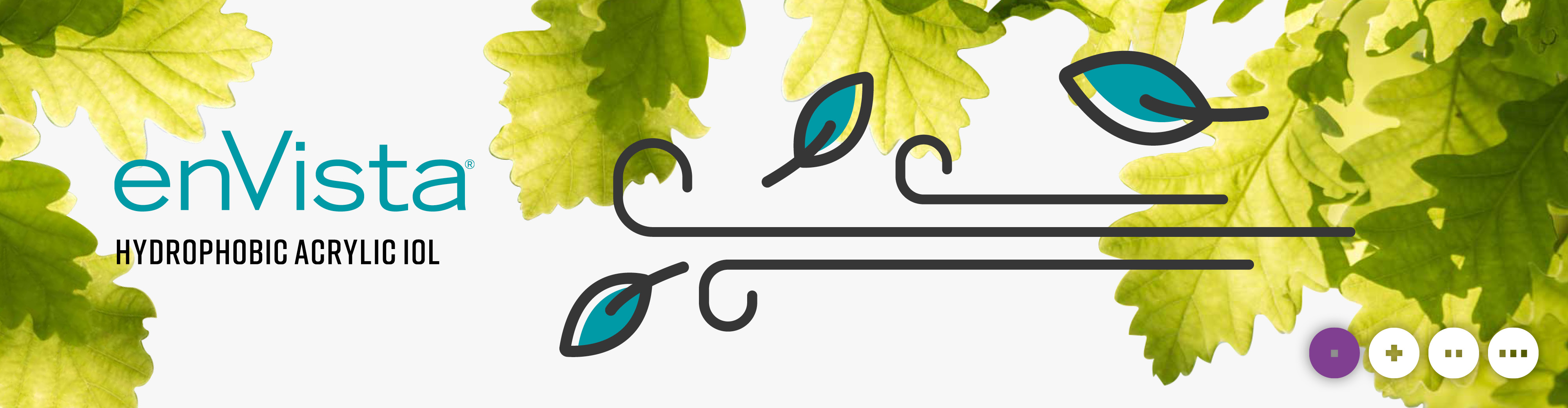 enVista |  hydrophobic monofocal IOL