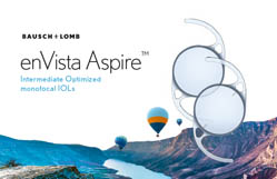 enVista® Aspire Surgeon Brochure