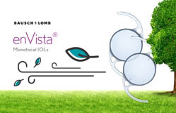 enVista® Monofocal Surgeon Brochure